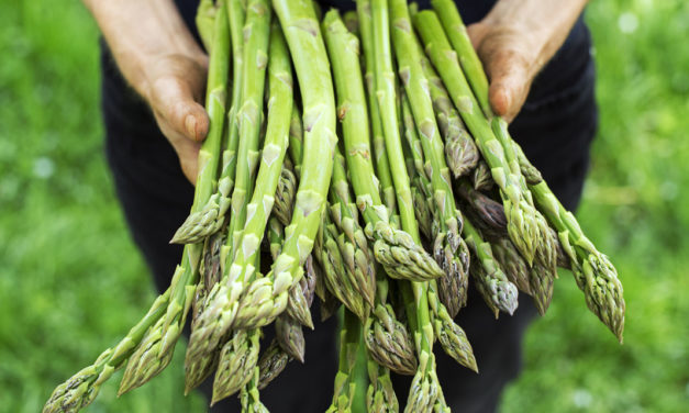 What’s in Season: Asparagus